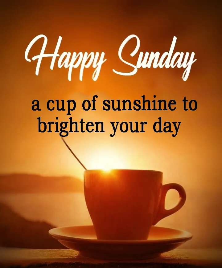 Happy Sunday ^ A cup of sunshine to brighten your day